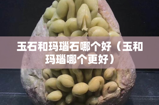 玉石和玛瑙石哪个好（玉和玛瑙哪个更好）