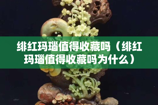 绯红玛瑙值得收藏吗（绯红玛瑙值得收藏吗为什么）