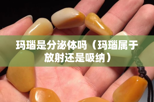 玛瑙是分泌体吗（玛瑙属于放射还是吸纳）