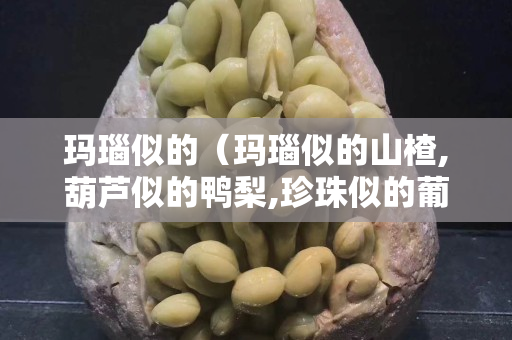 玛瑙似的（玛瑙似的山楂,葫芦似的鸭梨,珍珠似的葡萄）