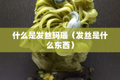 什么是发丝玛瑙（发丝是什么东西）