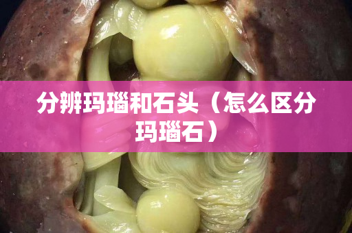 分辨玛瑙和石头（怎么区分玛瑙石）