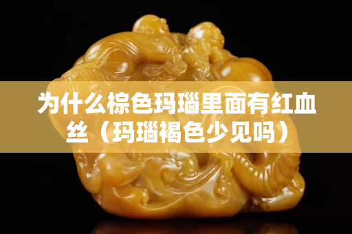为什么棕色玛瑙里面有红血丝（玛瑙褐色少见吗）