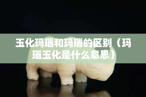 玉化玛瑙和玛瑙的区别（玛瑙玉化是什么意思）