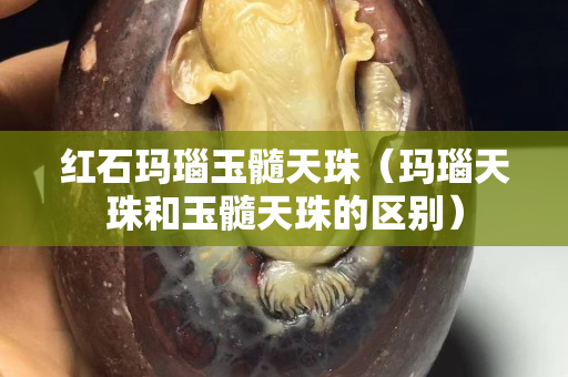 红石玛瑙玉髓天珠（玛瑙天珠和玉髓天珠的区别）