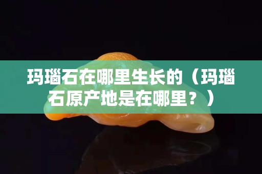 玛瑙石在哪里生长的（玛瑙石原产地是在哪里？）