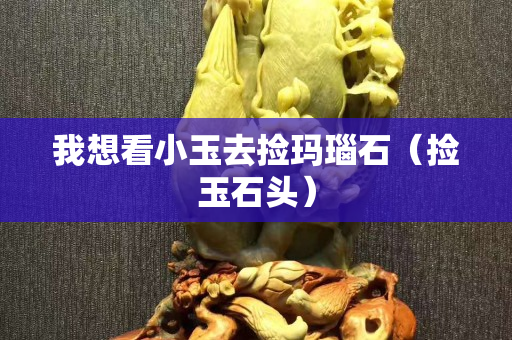 我想看小玉去捡玛瑙石（捡玉石头）