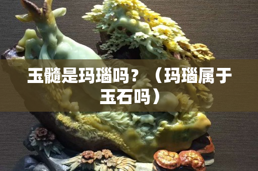 玉髓是玛瑙吗？（玛瑙属于玉石吗）