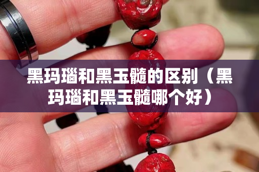 黑玛瑙和黑玉髓的区别（黑玛瑙和黑玉髓哪个好）