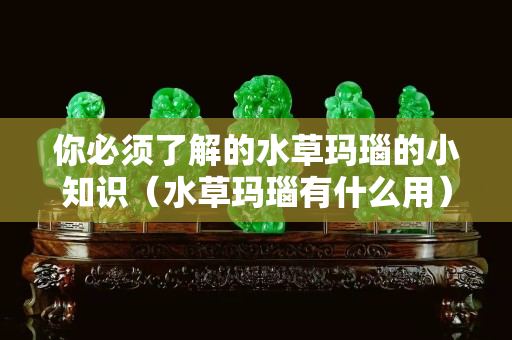 你必须了解的水草玛瑙的小知识（水草玛瑙有什么用）