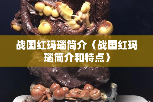 战国红玛瑙简介（战国红玛瑙简介和特点）
