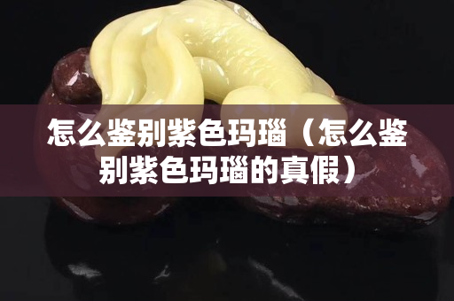 怎么鉴别紫色玛瑙（怎么鉴别紫色玛瑙的真假）