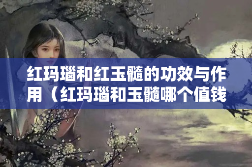 红玛瑙和红玉髓的功效与作用（红玛瑙和玉髓哪个值钱）