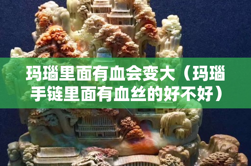 玛瑙里面有血会变大（玛瑙手链里面有血丝的好不好）