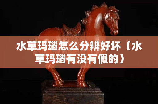 水草玛瑙怎么分辨好坏（水草玛瑙有没有假的）