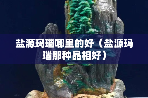 盐源玛瑙哪里的好（盐源玛瑙那种品相好）