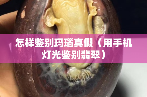 怎样鉴别玛瑙真假（用手机灯光鉴别翡翠）