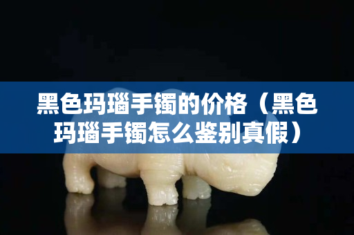 黑色玛瑙手镯的价格（黑色玛瑙手镯怎么鉴别真假）