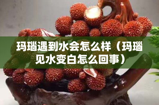 玛瑙遇到水会怎么样（玛瑙见水变白怎么回事）