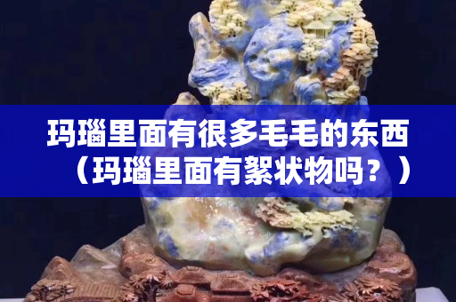 玛瑙里面有很多毛毛的东西（玛瑙里面有絮状物吗？）