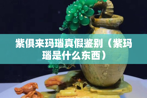 紫俱来玛瑙真假鉴别（紫玛瑙是什么东西）