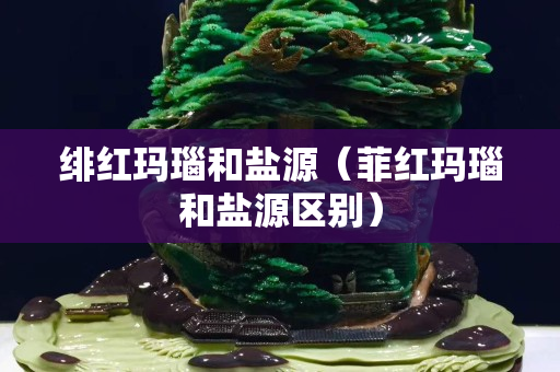 绯红玛瑙和盐源（菲红玛瑙和盐源区别）