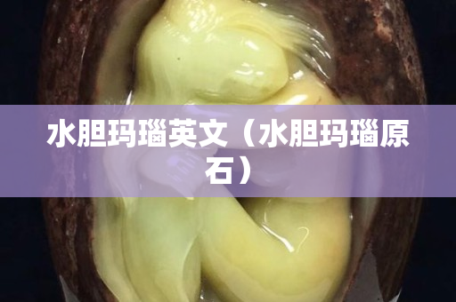 水胆玛瑙英文（水胆玛瑙原石）