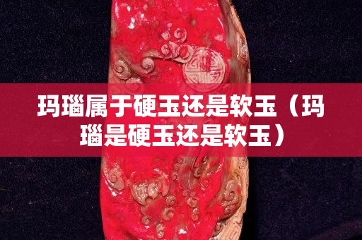 玛瑙属于硬玉还是软玉（玛瑙是硬玉还是软玉）