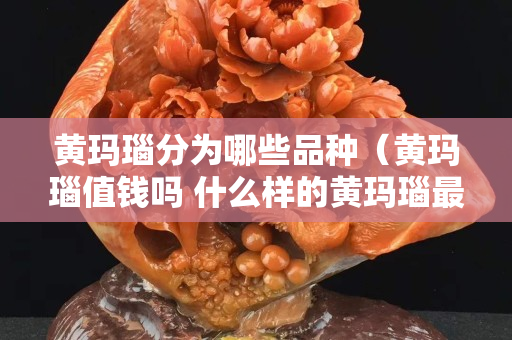 黄玛瑙分为哪些品种（黄玛瑙值钱吗 什么样的黄玛瑙最值钱）