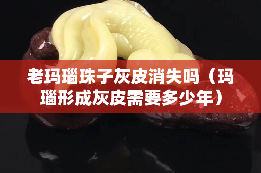 老玛瑙珠子灰皮消失吗（玛瑙形成灰皮需要多少年）