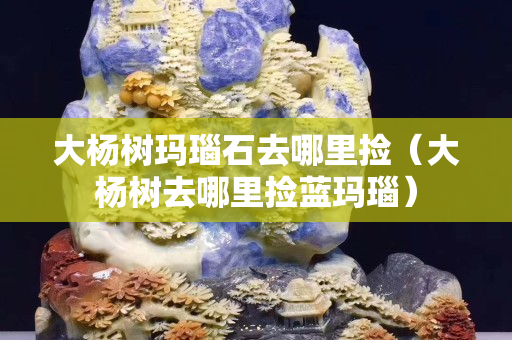 大杨树玛瑙石去哪里捡（大杨树去哪里捡蓝玛瑙）