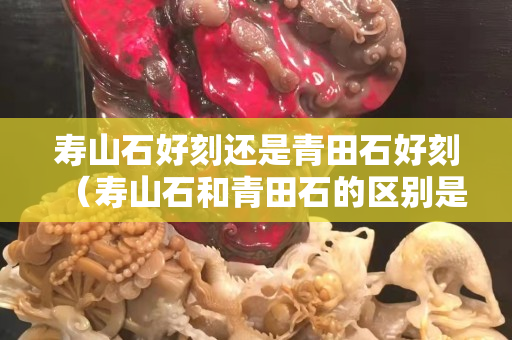 寿山石好刻还是青田石好刻（寿山石和青田石的区别是什么？）