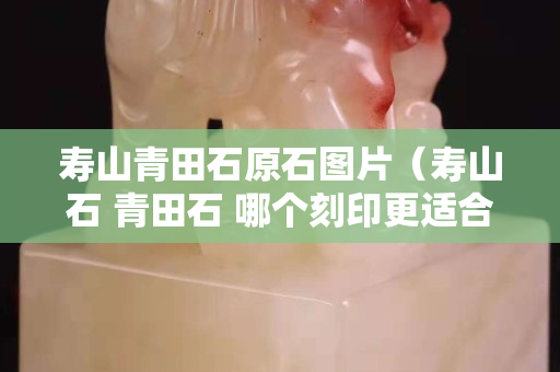 寿山青田石原石图片（寿山石 青田石 哪个刻印更适合）