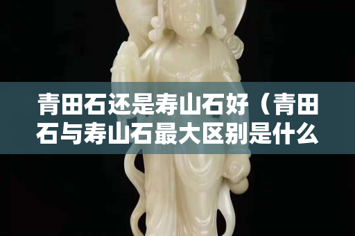 青田石还是寿山石好（青田石与寿山石最大区别是什么）