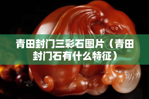 青田封门三彩石图片（青田封门石有什么特征）