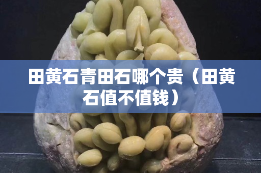 田黄石青田石哪个贵（田黄石值不值钱）