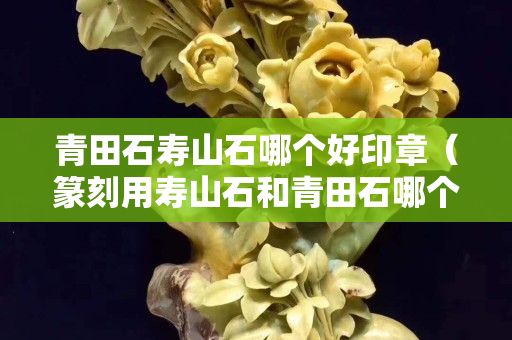 青田石寿山石哪个好印章（篆刻用寿山石和青田石哪个好）