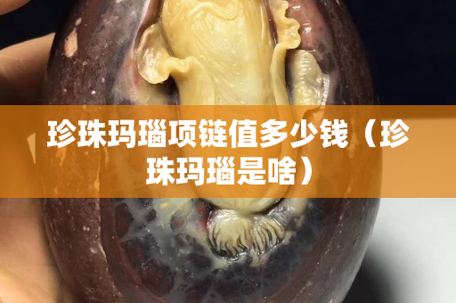 珍珠玛瑙项链值多少钱（珍珠玛瑙是啥）