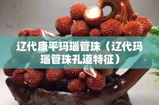 辽代康平玛瑙管珠（辽代玛瑙管珠孔道特征）