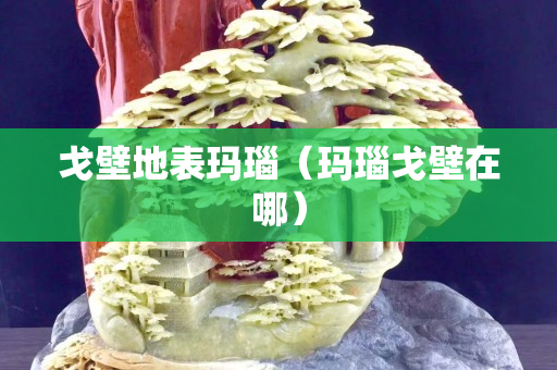 戈壁地表玛瑙（玛瑙戈壁在哪）