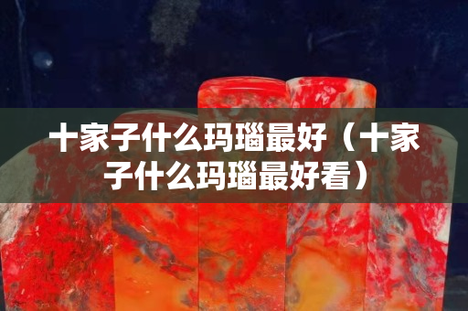 十家子什么玛瑙最好（十家子什么玛瑙最好看）