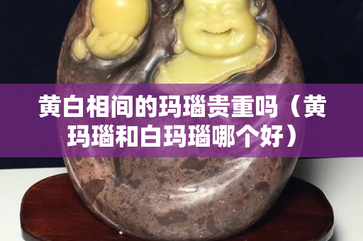 黄白相间的玛瑙贵重吗（黄玛瑙和白玛瑙哪个好）