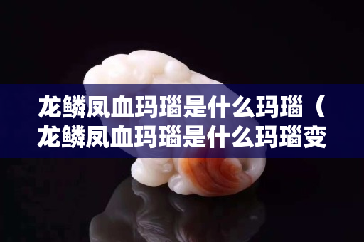 龙鳞凤血玛瑙是什么玛瑙（龙鳞凤血玛瑙是什么玛瑙变黑纹咋回事）