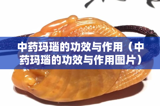 中药玛瑙的功效与作用（中药玛瑙的功效与作用图片）