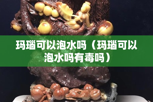 玛瑙可以泡水吗（玛瑙可以泡水吗有毒吗）
