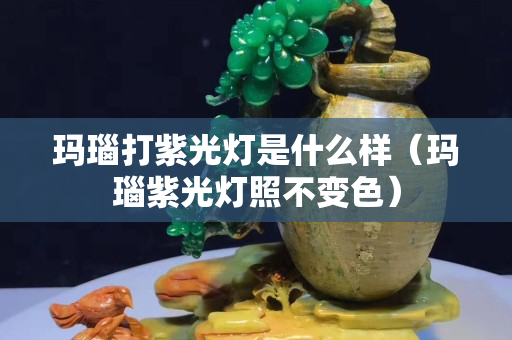玛瑙打紫光灯是什么样（玛瑙紫光灯照不变色）