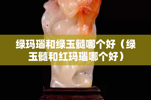 绿玛瑙和绿玉髓哪个好（绿玉髓和红玛瑙哪个好）
