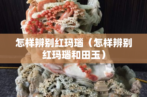 怎样辨别红玛瑙（怎样辨别红玛瑙和田玉）