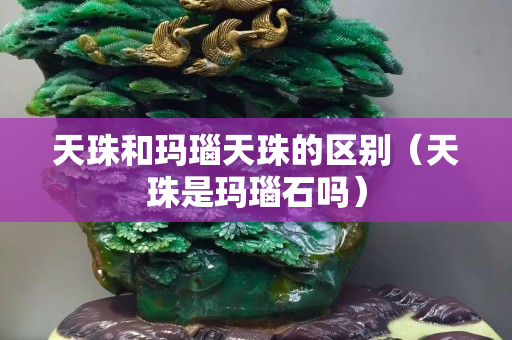 天珠和玛瑙天珠的区别（天珠是玛瑙石吗）