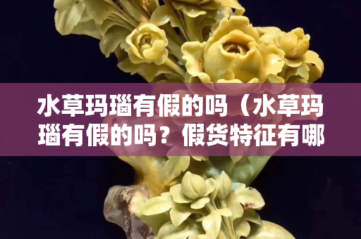 水草玛瑙有假的吗（水草玛瑙有假的吗？假货特征有哪些？如何鉴定真假）